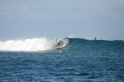 DSC_0530.JPG