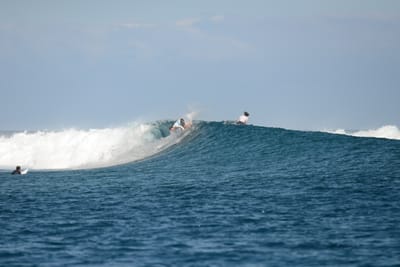 DSC_0531.JPG