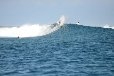 DSC_0532.JPG