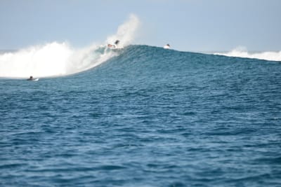 DSC_0533.JPG