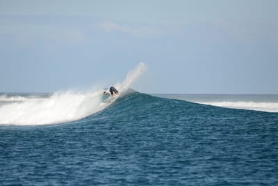 DSC_0535.JPG