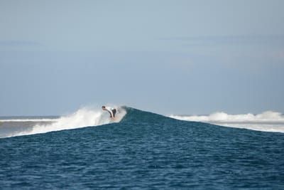 DSC_0536.JPG