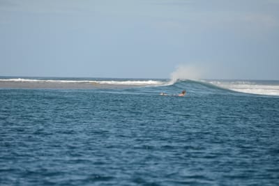 DSC_0553.JPG