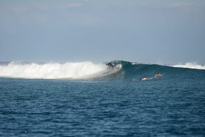 DSC_0554.JPG