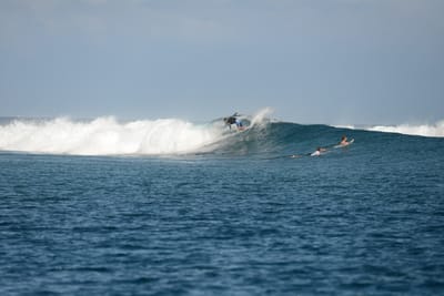 DSC_0555.JPG