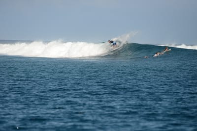 DSC_0556.JPG