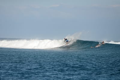 DSC_0557.JPG