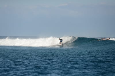 DSC_0558.JPG