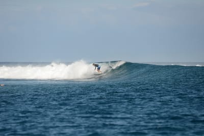 DSC_0559.JPG