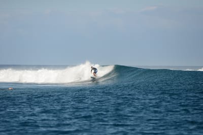 DSC_0560.JPG