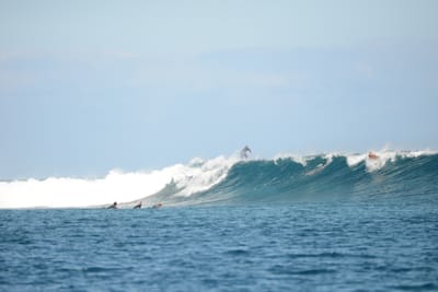 DSC_0561.JPG