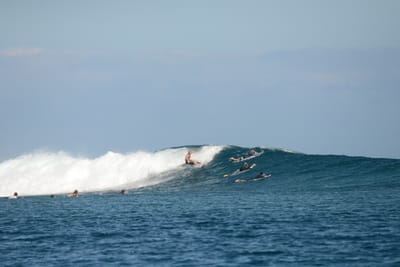 DSC_0562.JPG