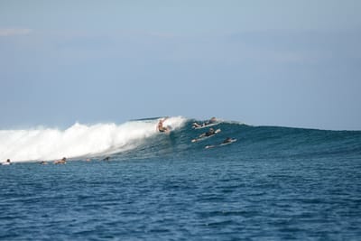 DSC_0563.JPG