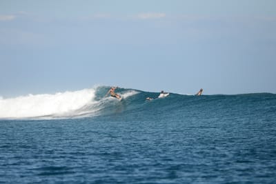 DSC_0564.JPG