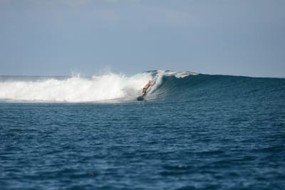 DSC_0567.JPG