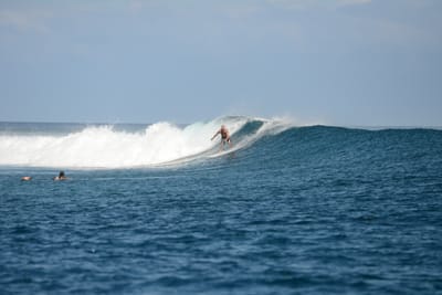 DSC_0568.JPG