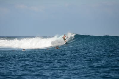 DSC_0569.JPG