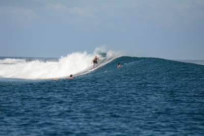 DSC_0570.JPG