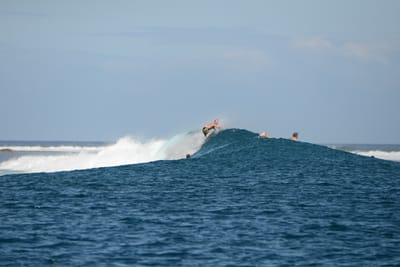 DSC_0571.JPG