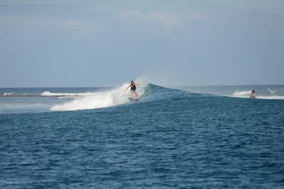DSC_0575.JPG