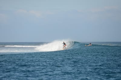 DSC_0576.JPG
