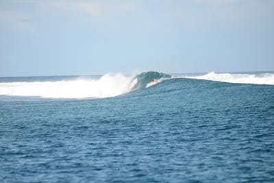 DSC_0578.JPG