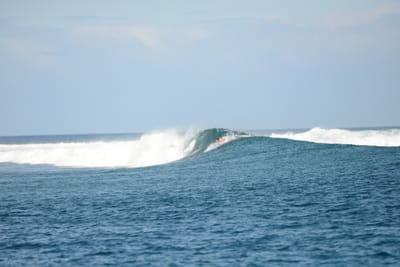 DSC_0579.JPG