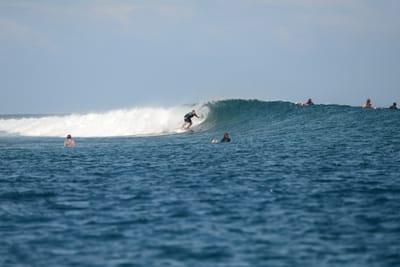 DSC_0585.JPG