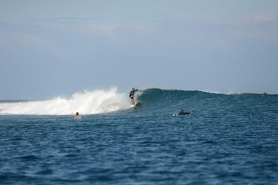 DSC_0586.JPG