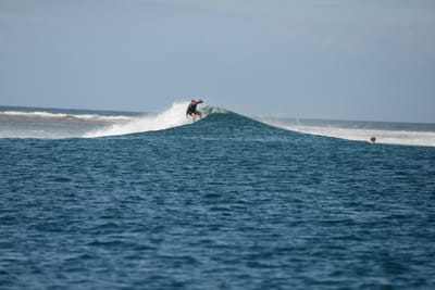 DSC_0590.JPG