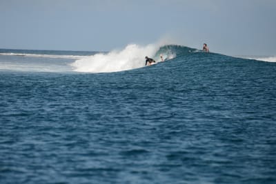 DSC_0591.JPG