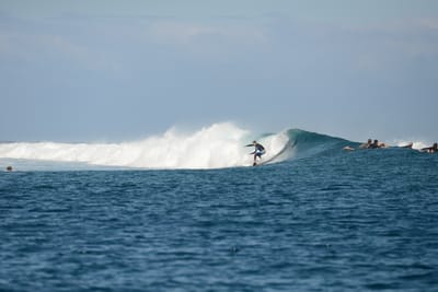 DSC_0592.JPG