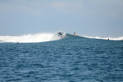 DSC_0593.JPG