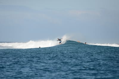 DSC_0594.JPG