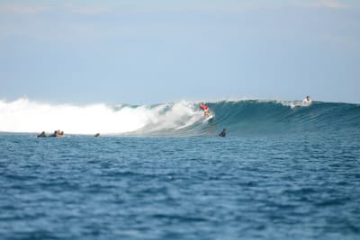 DSC_0595.JPG
