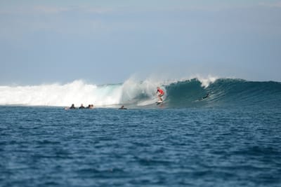 DSC_0596.JPG