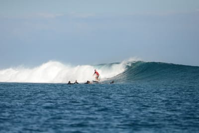 DSC_0597.JPG