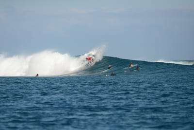 DSC_0598.JPG
