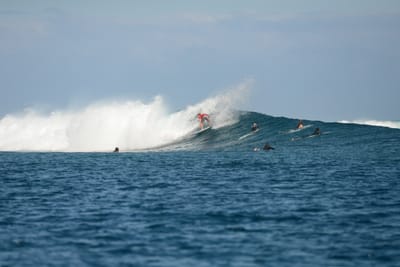 DSC_0599.JPG