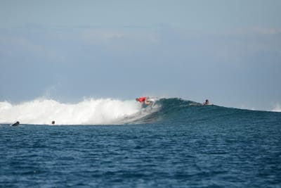 DSC_0600.JPG