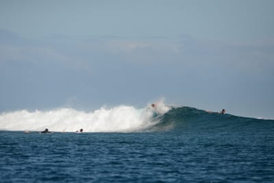 DSC_0601.JPG