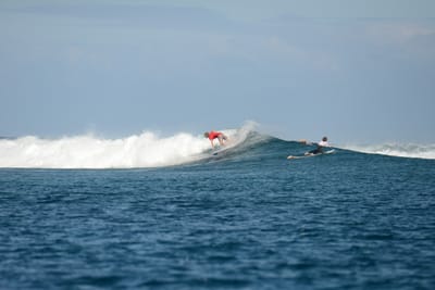 DSC_0602.JPG