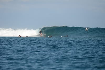 DSC_0603.JPG