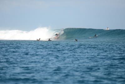 DSC_0604.JPG