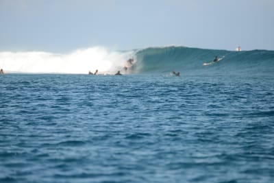 DSC_0605.JPG