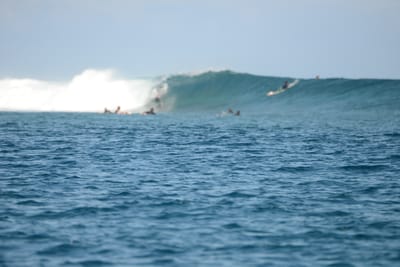 DSC_0606.JPG
