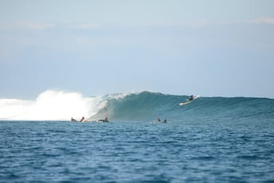 DSC_0607.JPG