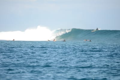 DSC_0608.JPG
