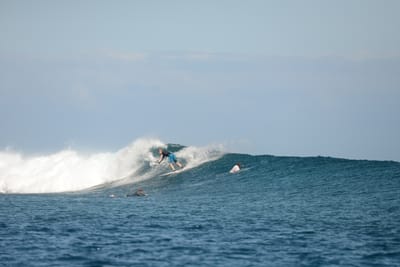 DSC_0613.JPG