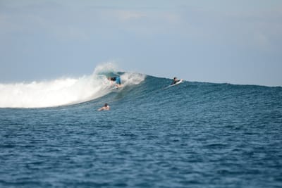 DSC_0614.JPG